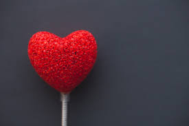 valentines day heart cookie